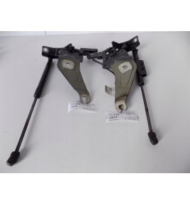 BMW X5 E70 / X6 E71 Motorhaubenscharnier rechts – 2919
