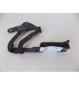 BMW X1 E84 – Motorhaubenscharnier rechts – 2922