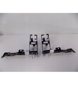 BMW 3er F30 / 1er F20 / 4er F32 Lampenabdeckung R-3068