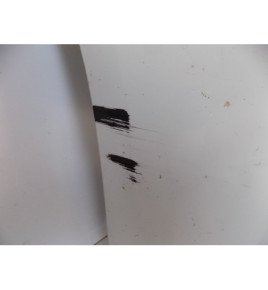 BMW 3er F30 F31 – Frontstoßstange LCI – 5369