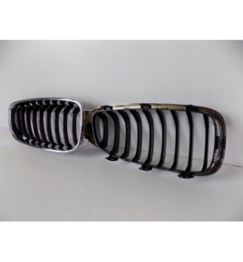 BMW 3er GT F34 Nieren / Stoßfängergrill – 3819