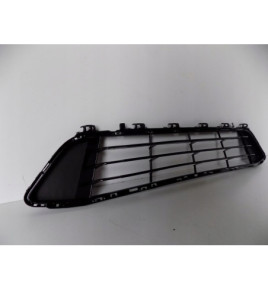 BMW X1 F48/F49 Mittlerer Stoßfängergrill – 3981