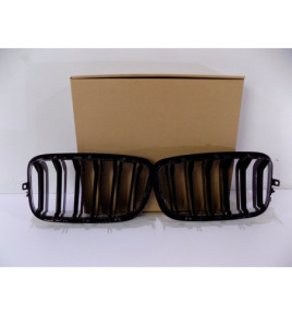 BMW X5 E70, BMW X6 E71 Kühlergrill / Niere – 4119